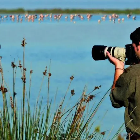 Turistico A رافيننا