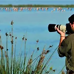 Turistico A Ravenna